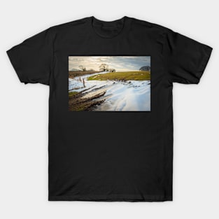 Winter Light T-Shirt